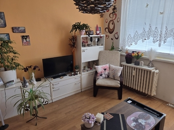 Prodej bytu 1+1 v osobním vlastnictví 46 m², Pardubice