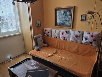 Prodej bytu 1+1 v osobním vlastnictví 46 m², Pardubice