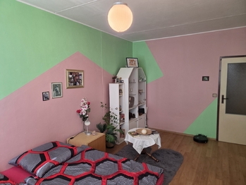 Prodej bytu 1+1 v osobním vlastnictví 46 m², Pardubice