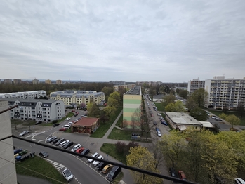 Prodej bytu 1+1 v osobním vlastnictví 46 m², Pardubice