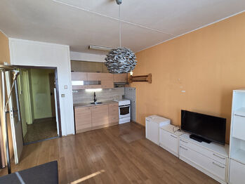 Prodej bytu 1+1 v osobním vlastnictví 46 m², Pardubice