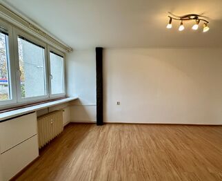 Pronájem bytu 1+1 v družstevním vlastnictví 30 m², Praha 6 - Veleslavín