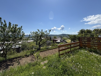 Prodej pozemku 370 m², Šumperk