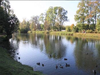 Zámecký park - Pronájem bytu 3+kk v osobním vlastnictví 90 m², Praha 9 - Čakovice