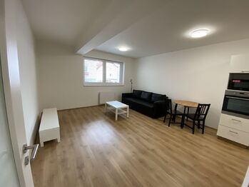 obývací pokoj - Pronájem bytu 1+kk v osobním vlastnictví 45 m², Plzeň