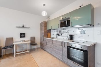 Pronájem bytu 1+kk v osobním vlastnictví 37 m², Praha 3 - Žižkov