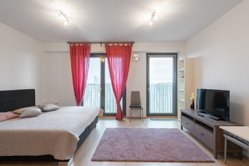 Pronájem bytu 1+kk v osobním vlastnictví 37 m², Praha 3 - Žižkov