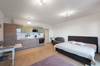 Pronájem bytu 1+kk v osobním vlastnictví 37 m², Praha 3 - Žižkov