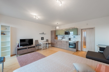 Pronájem bytu 1+kk v osobním vlastnictví 37 m², Praha 3 - Žižkov