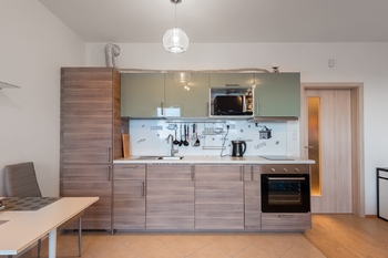 Pronájem bytu 1+kk v osobním vlastnictví 37 m², Praha 3 - Žižkov