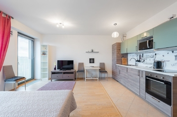 Pronájem bytu 1+kk v osobním vlastnictví 37 m², Praha 3 - Žižkov