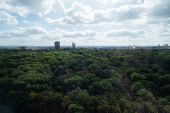 Pronájem bytu 1+kk v osobním vlastnictví 37 m², Praha 3 - Žižkov