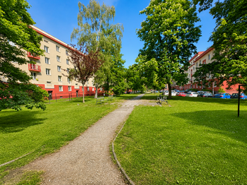 Pronájem bytu 2+1 v osobním vlastnictví 56 m², Plzeň