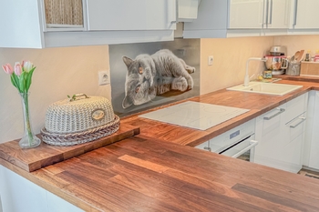Prodej bytu 3+kk v osobním vlastnictví 81 m², Bašť