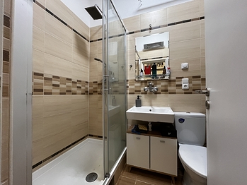 Pronájem bytu 1+kk v osobním vlastnictví 37 m², Plzeň