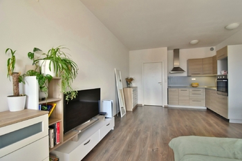Pronájem bytu 1+kk v osobním vlastnictví 32 m², Hradec Králové