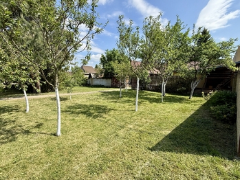 Prodej domu 228 m², Cvrčovice