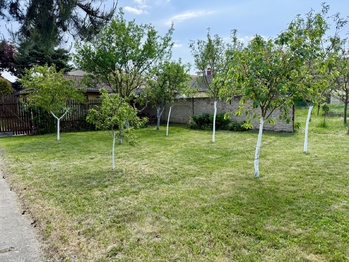 Prodej domu 228 m², Cvrčovice