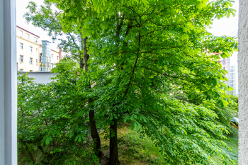 Pronájem bytu 3+1 v osobním vlastnictví 106 m², Praha 2 - Vinohrady