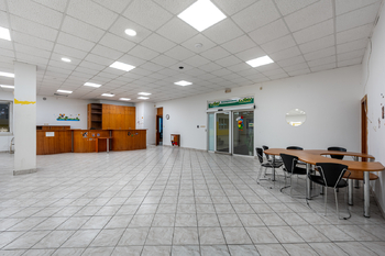 hlavní showroom - Pronájem obchodních prostor, Čestlice