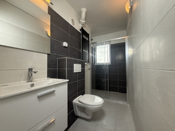 Koupelna - Prodej bytu 3+1 v osobním vlastnictví 59 m², Staňkovice