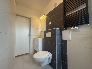 Koupelna - Prodej bytu 3+1 v osobním vlastnictví 59 m², Staňkovice