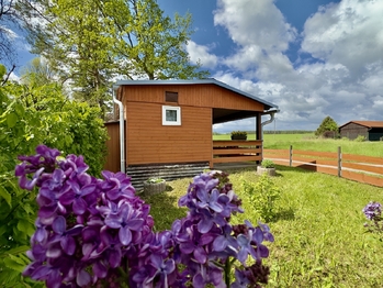 Prodej chaty / chalupy 169 m², Mladošovice