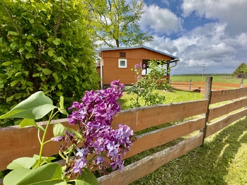 Prodej chaty / chalupy 169 m², Mladošovice