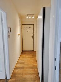 Pronájem bytu 2+1 v osobním vlastnictví 54 m², Praha 6 - Dejvice