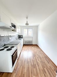 Pronájem bytu 2+1 v osobním vlastnictví 54 m², Praha 6 - Dejvice