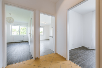 Pronájem bytu 3+kk v osobním vlastnictví 65 m², Holubice