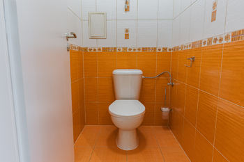 Pronájem bytu 3+kk v osobním vlastnictví 65 m², Holubice