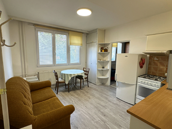 Pronájem bytu 1+1 v osobním vlastnictví 35 m², Bor