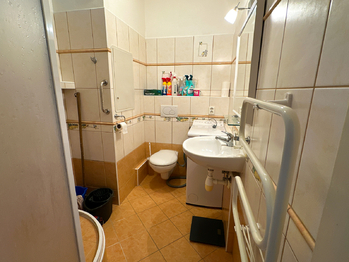 Pronájem bytu 1+1 v osobním vlastnictví 35 m², Bor