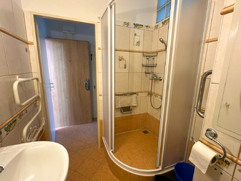 Pronájem bytu 1+1 v osobním vlastnictví 35 m², Bor