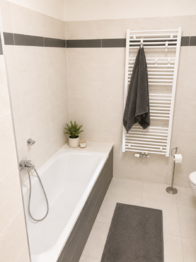 Pronájem bytu 1+kk v osobním vlastnictví 33 m², Praha 9 - Černý Most
