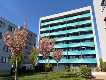 Pronájem bytu 1+kk v osobním vlastnictví 33 m², Praha 9 - Černý Most