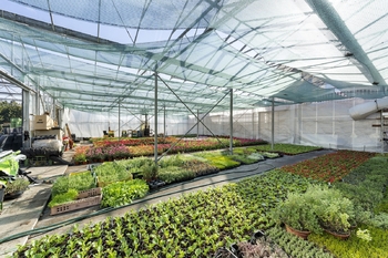 Prodej domu 148 m², Miřetice