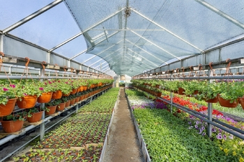 Prodej domu 148 m², Miřetice