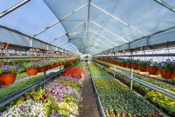 Prodej domu 148 m², Miřetice