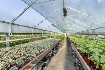 Prodej domu 148 m², Miřetice