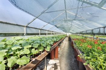 Prodej domu 148 m², Miřetice