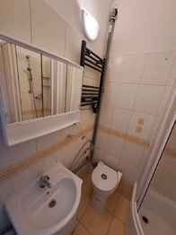 KOUPELNA (SPRCHA + TOALETA) - Pronájem bytu 1+1 v osobním vlastnictví 40 m², Praha 7 - Holešovice