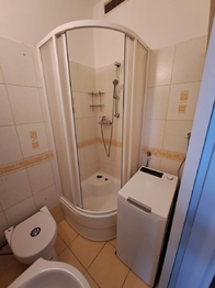 KOUPELNA (SPRCHA + TOALETA) - Pronájem bytu 1+1 v osobním vlastnictví 40 m², Praha 7 - Holešovice