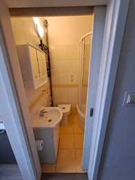 KOUPELNA (SPRCHA + TOALETA) - Pronájem bytu 1+1 v osobním vlastnictví 40 m², Praha 7 - Holešovice