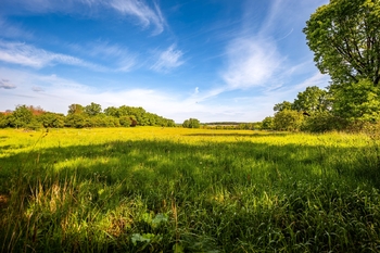 Prodej pozemku 2521 m², Záboří