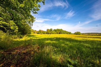 Prodej pozemku 2521 m², Záboří