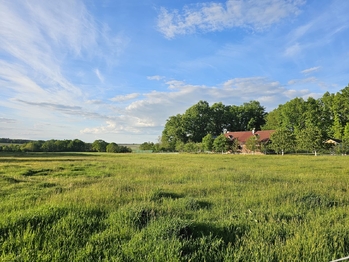 Prodej pozemku 2521 m², Záboří