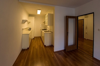 Prodej bytu 3+kk v osobním vlastnictví 65 m², Praha 3 - Žižkov