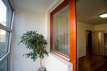 Prodej bytu 3+kk v osobním vlastnictví 65 m², Praha 3 - Žižkov